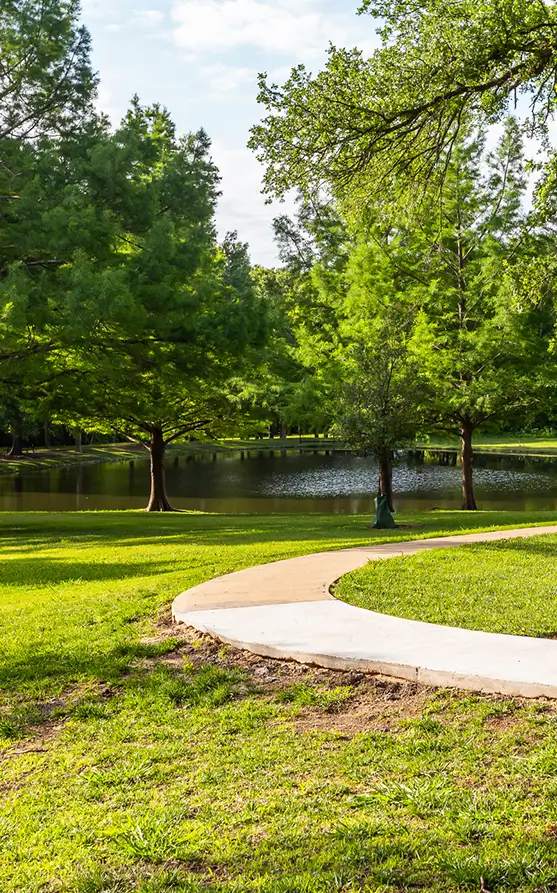 a walking trail leading to a lake surrounded by trees and grass