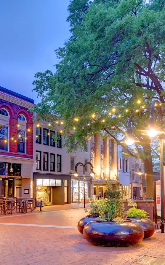 downtown at night, with string lights hanging between trees